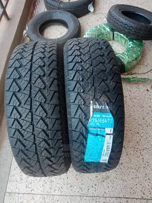 225/65r17 Fortune