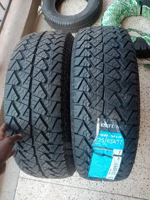 225/65r17 Fortune