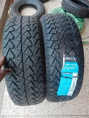 225/65r17 for Vanguard