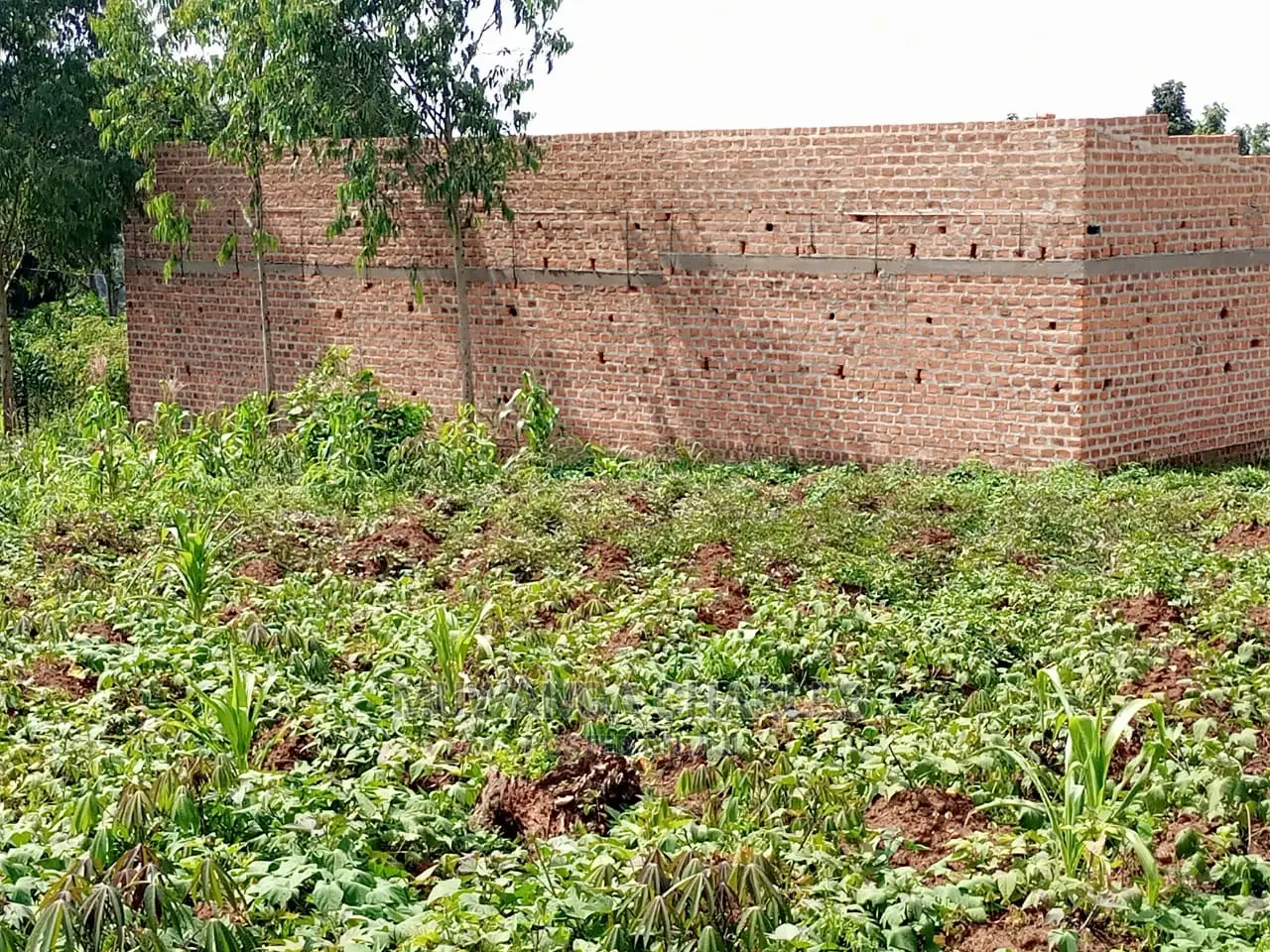 Plot in Kitetika Gayaza Road on Quick Sale