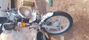 TVS 2013 Green