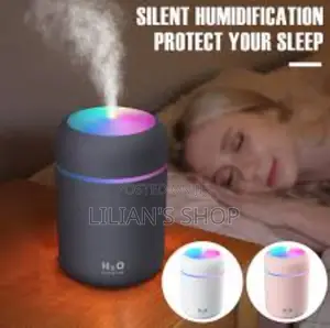 New Car Humidifier