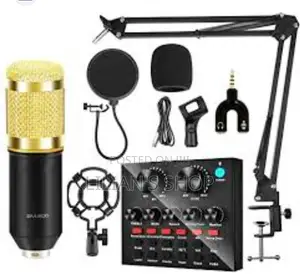Professional Condenser Microphone