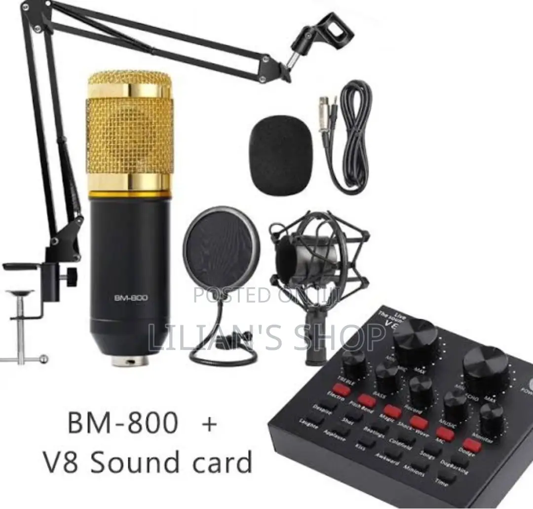 Professional Condenser Microphone