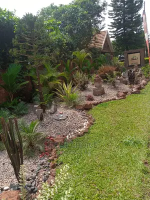 Rock Gardens, Rock Solid Beauty for Your Back Yard