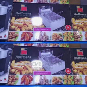 Single Deep Fryer