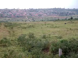 Mukono Star City Estate