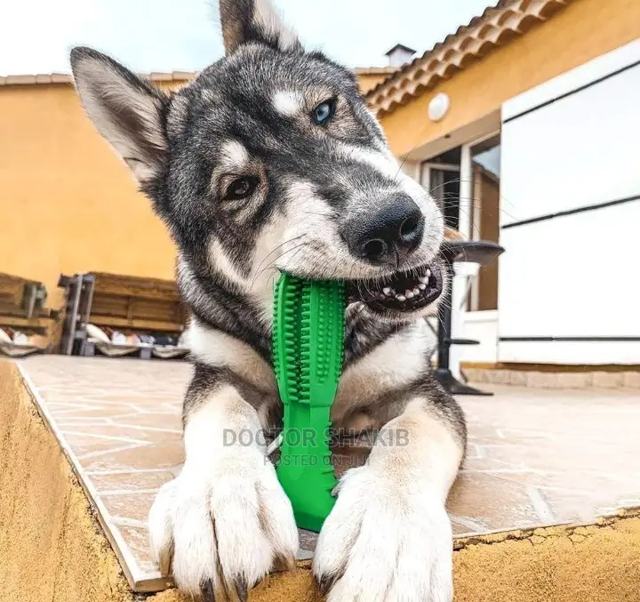 Dog Toothbrush