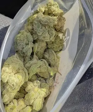 Herb Seeds Thc And Cbd’S
