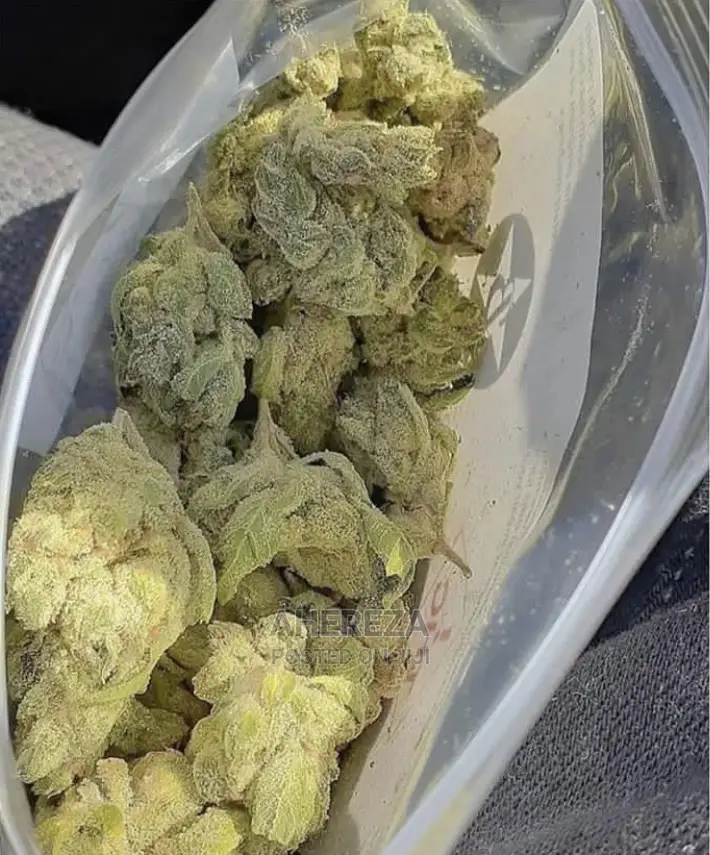 Herb Seeds Thc And Cbd’S
