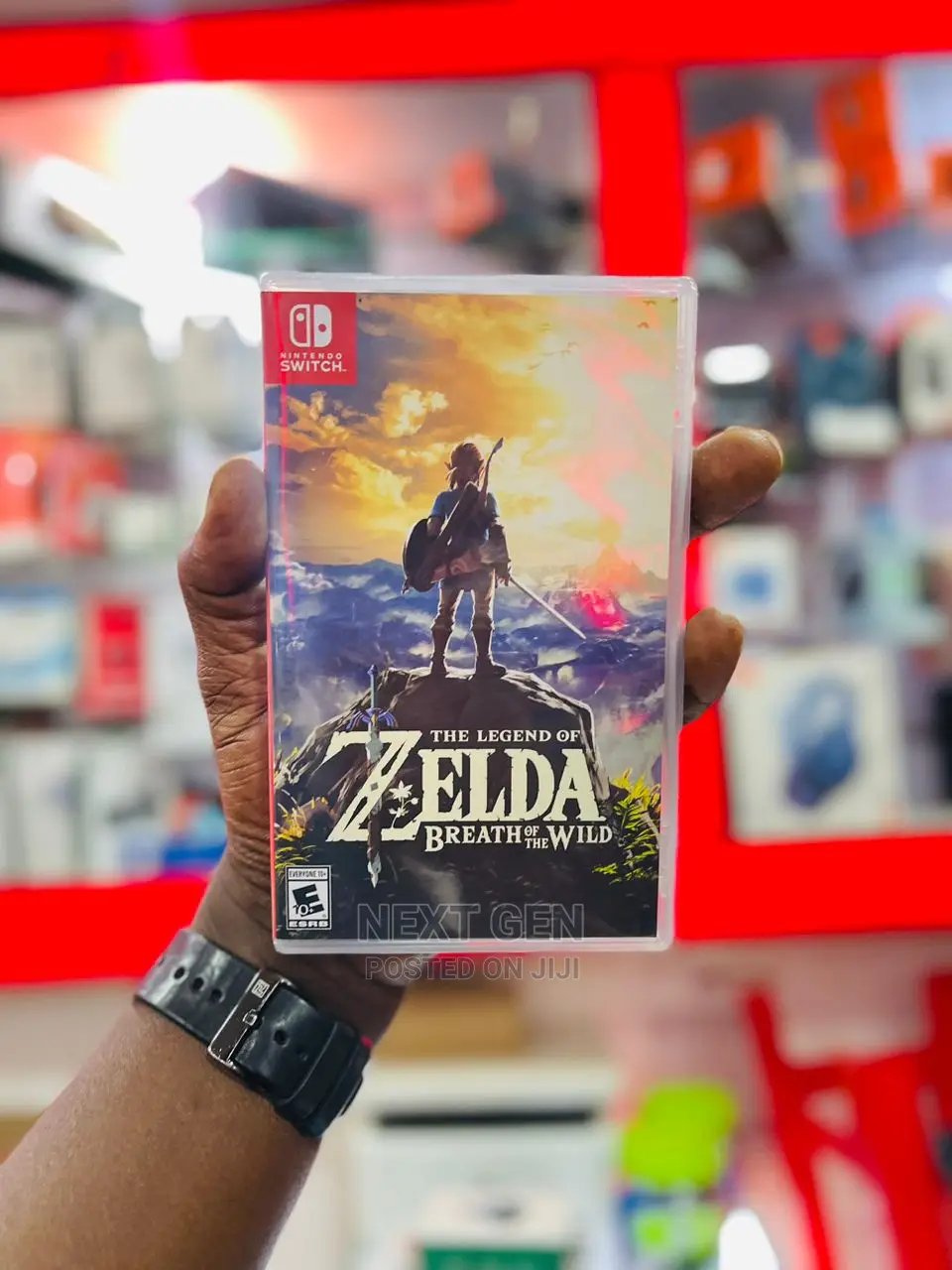 The Legend of Zelda