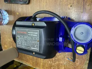 Surface Water Pump