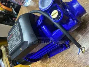 Surface Water Pump