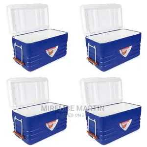Blue Cooler Box