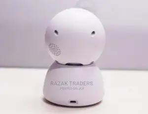 Intelligent Wifi Panoramic Cameras With Wide Lens