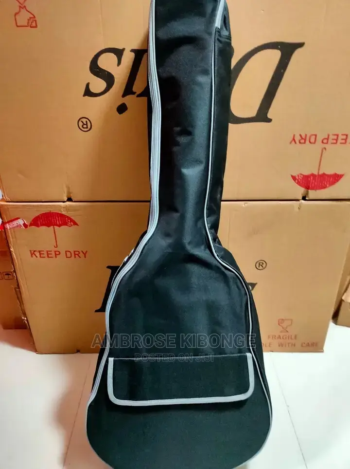 High Quality Double Padded Guitar Bag for All Box Guitars