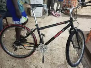 Bike for Adults Size 26