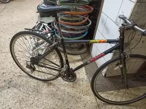 Sport Bicycle