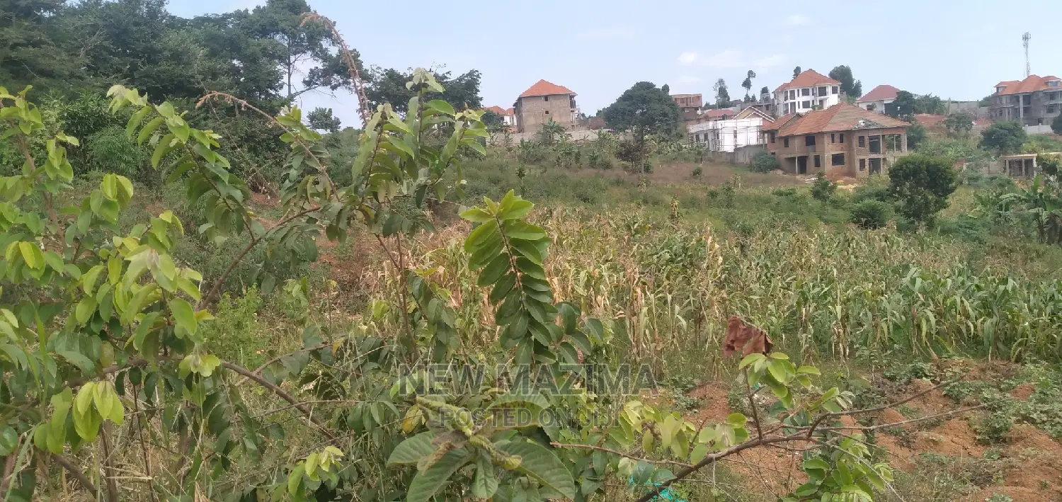 32decimals on Forcedsale in Kawuku Ntebe Rd With Ready Title