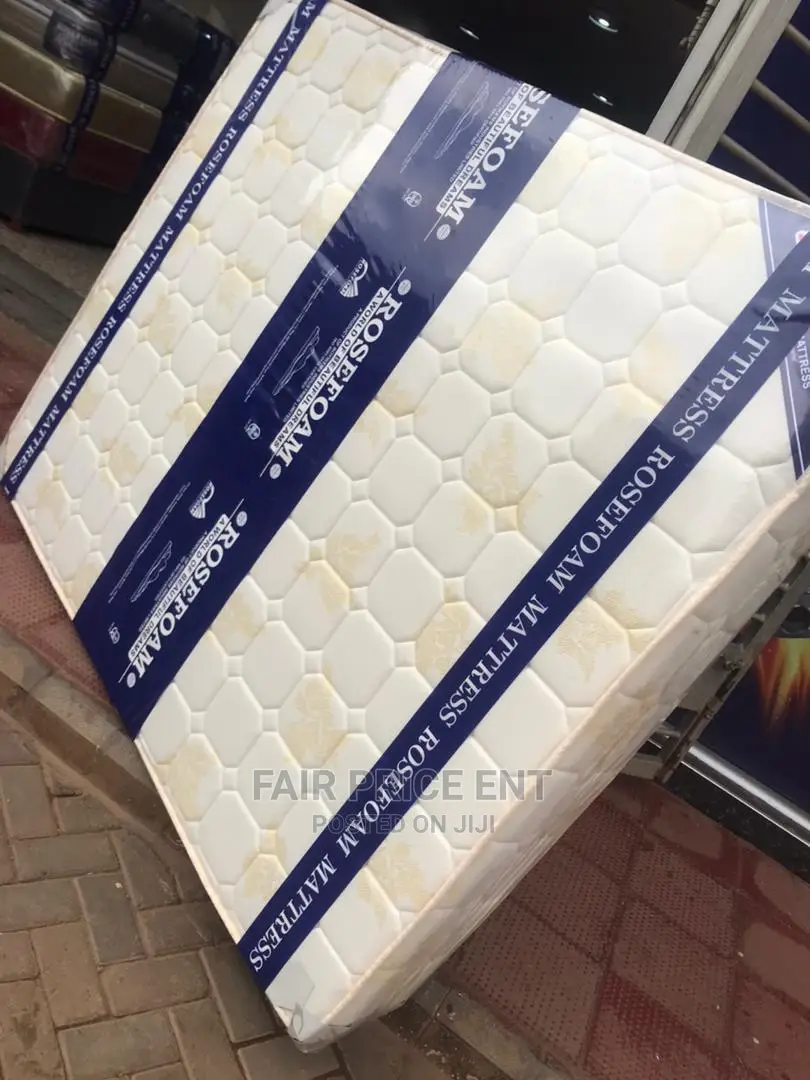 Premium Smart High Density.6x5x8inches.( White)