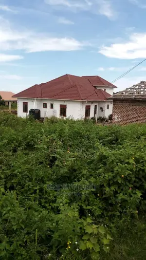Roofing Solutions 62