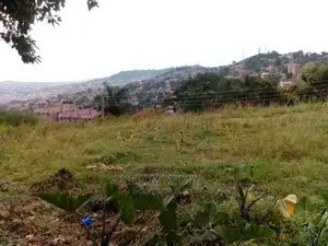 35 Decimals on Forced Sale in Heart of Buziga Heights