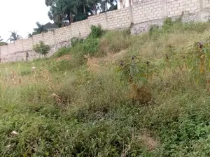 35 Decimals on Forced Sale in Heart of Buziga Heights