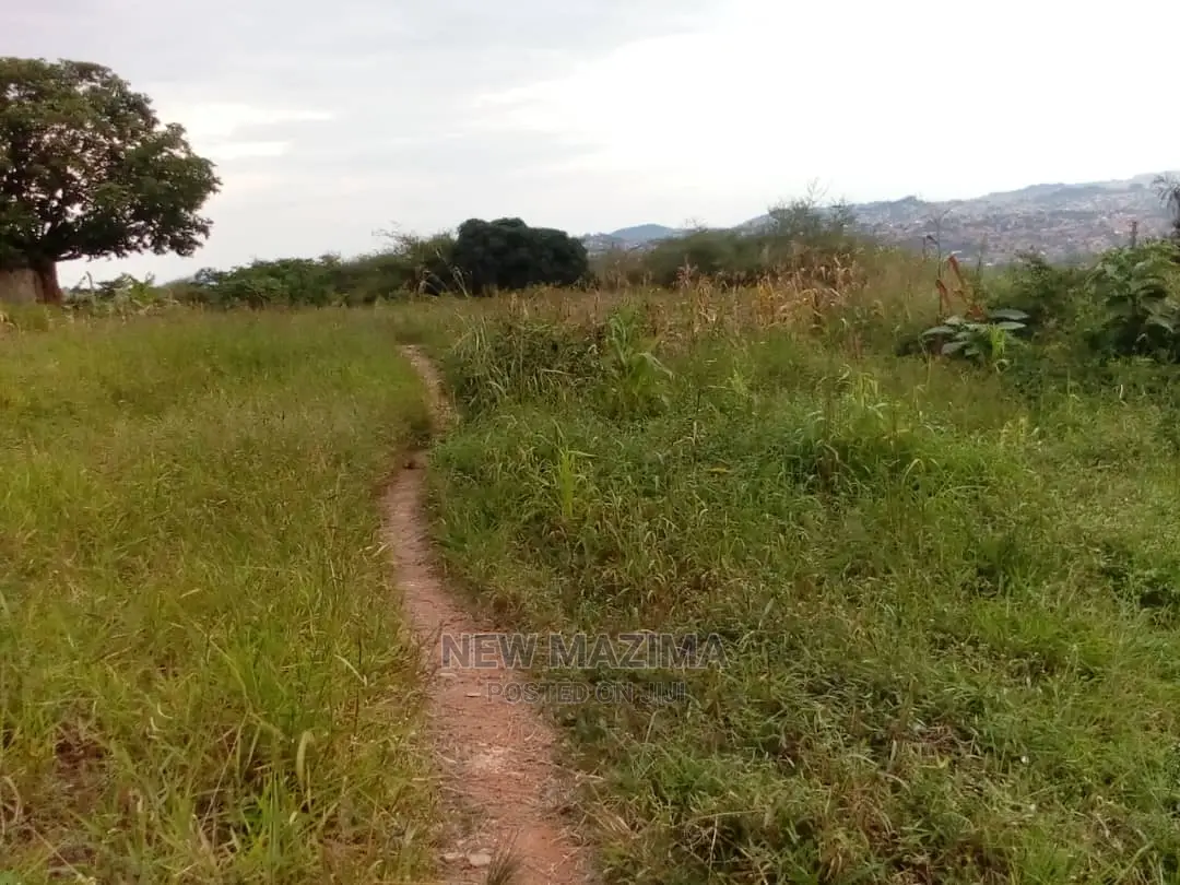 35 Decimals on Forced Sale in Heart of Buziga Heights