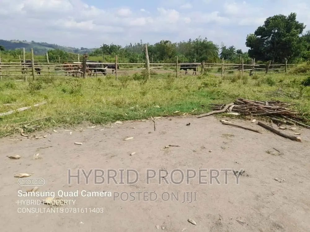 Fertile 100acres of Land for Leasing/Rent at Kalege~Busunju.