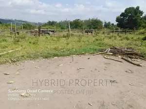 Photo - Fertile 100acres of Land for Leasing/Rent at Kalege~Busunju.