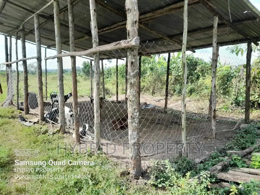Fertile 100acres of Land for Leasing/Rent at Kalege~Busunju.