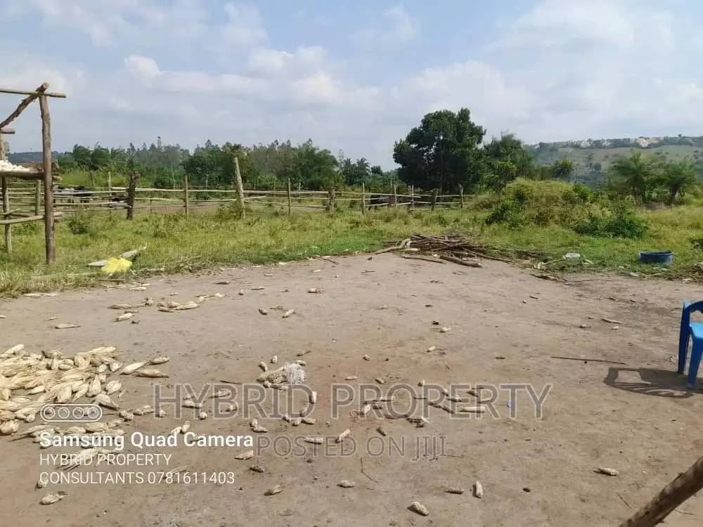 Fertile 100acres of Land for Leasing/Rent at Kalege~Busunju.