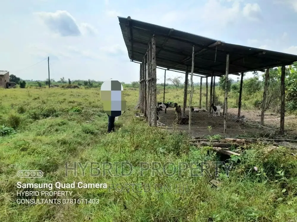 Fertile 100acres of Land for Leasing/Rent at Kalege~Busunju.