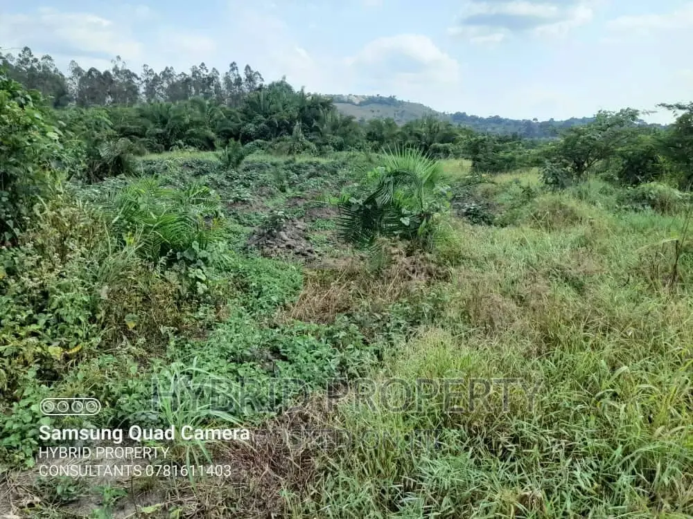 Fertile 100acres of Land for Leasing/Rent at Kalege~Busunju.