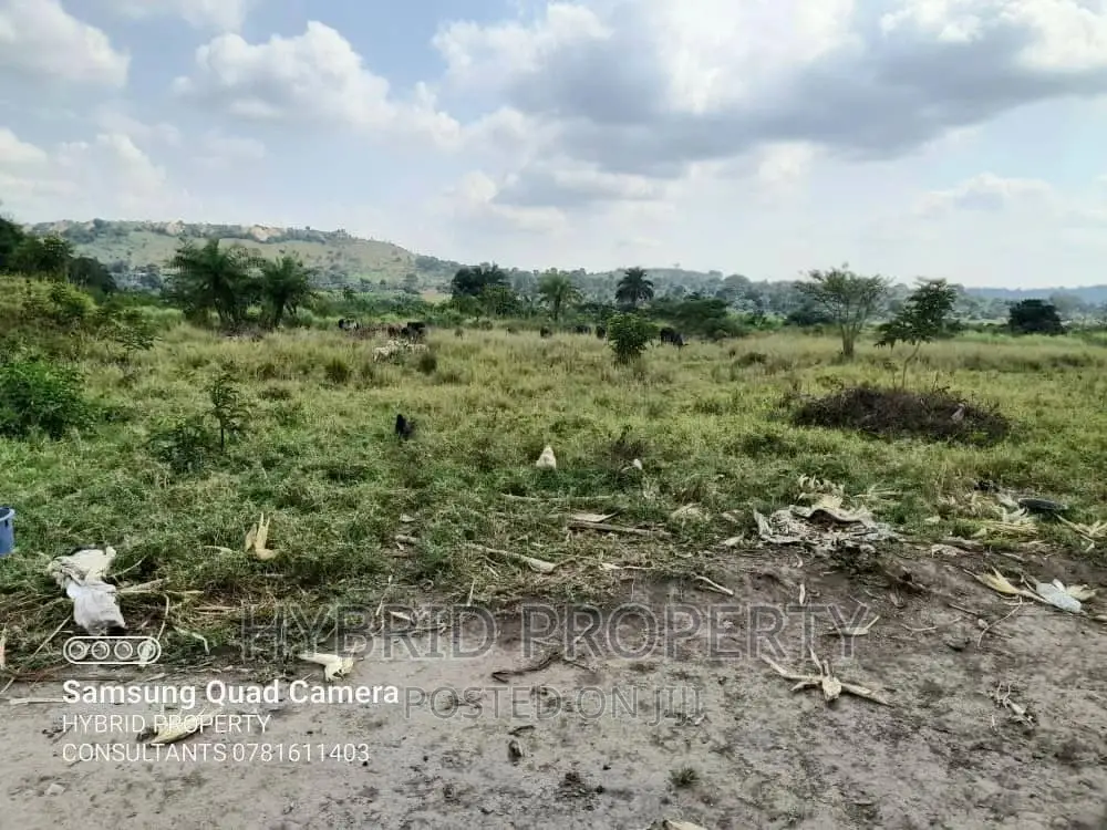 Fertile 100acres of Land for Leasing/Rent at Kalege~Busunju.