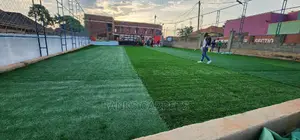 Artificial Grass Carpets