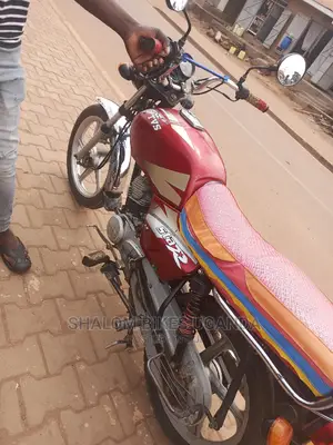 Raleigh 100cc 2017 Pink