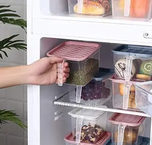 Fridge Container