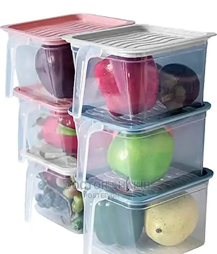 Fridge Container