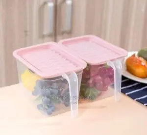Fridge Container