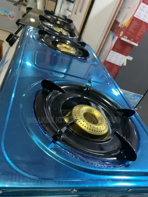 Stainless Steel Double Gas Stove
