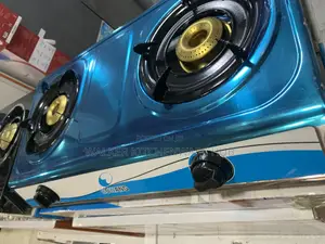 Stainless Steel Double Gas Stove