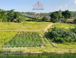 Prime Plots for Sale at Our Bukalango~Wakiso~Hoima Road