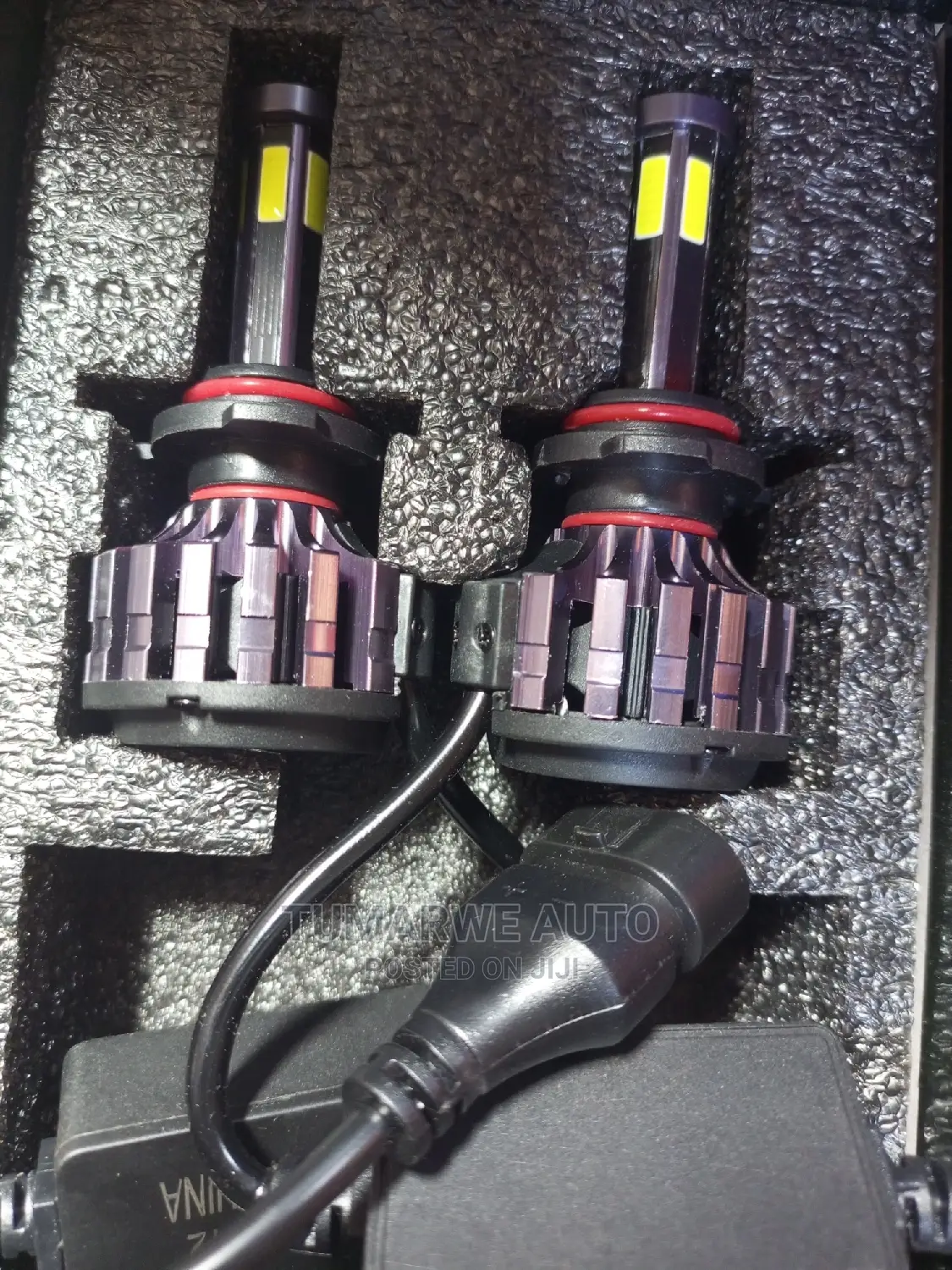 Led Fog White Light Bulbs