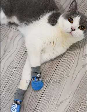 Non-Slip Cat/ Puppy Socks