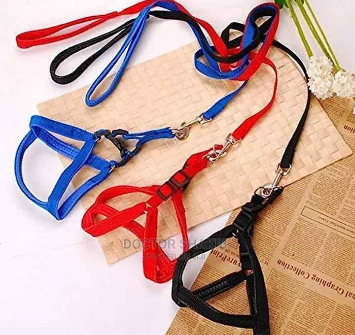 Dog Harness With Leach S,M,Xl All Sizes