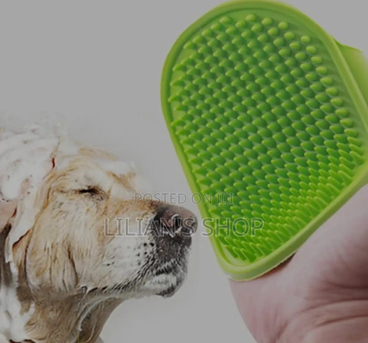 Pet Bathing Brush