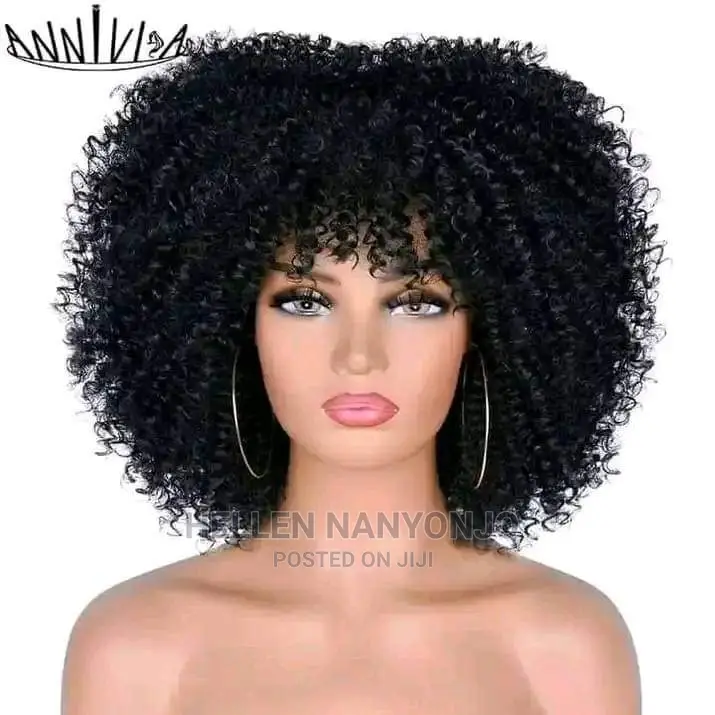 Twists Hair Wigs