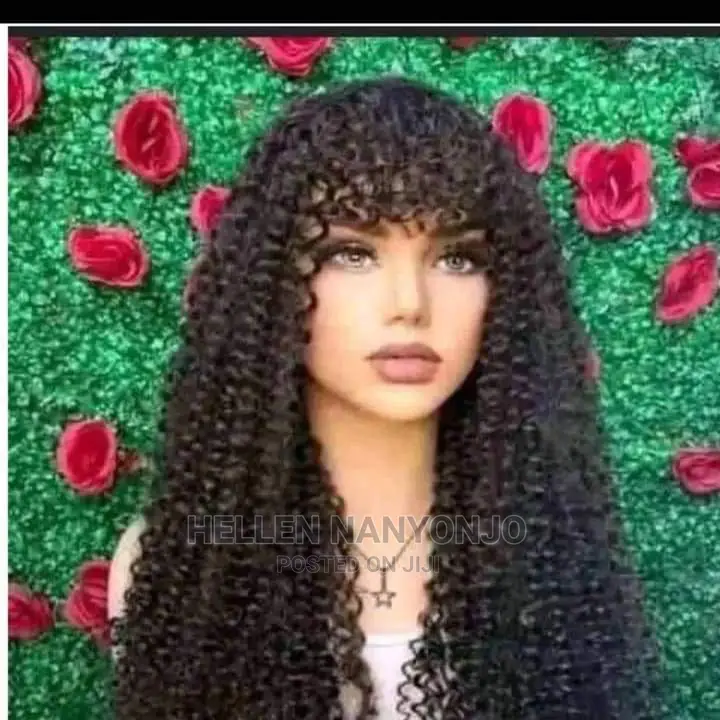 Twists Hair Wigs