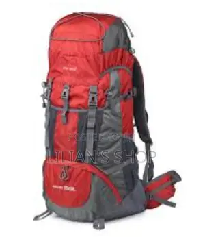 70litres Travel Back Pack Bag